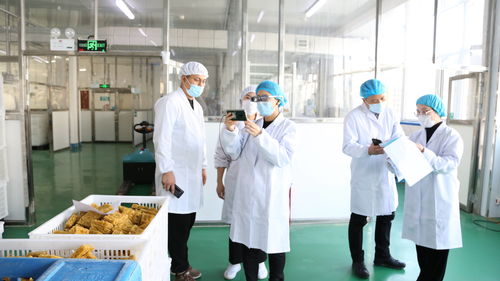 大連自貿片區推出食品生產加工“5G+AR”智慧監管新模式，賦能健康管理與咨詢